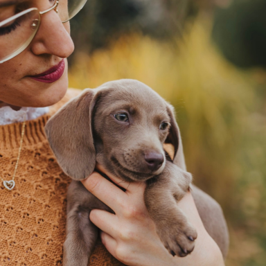 Eine Dame mit einem orangenen Pullover und Brille hält einen Welpen Dackel in der Hand. Der Dackel hat kurzes Haar und ist mittelbraun.